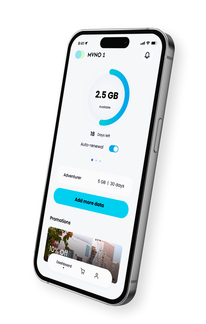 mobile phone showing remaining GBs in esim plan