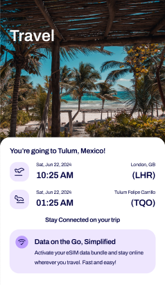 showing booking dates in esim platform example dashboard for travel and tourism company